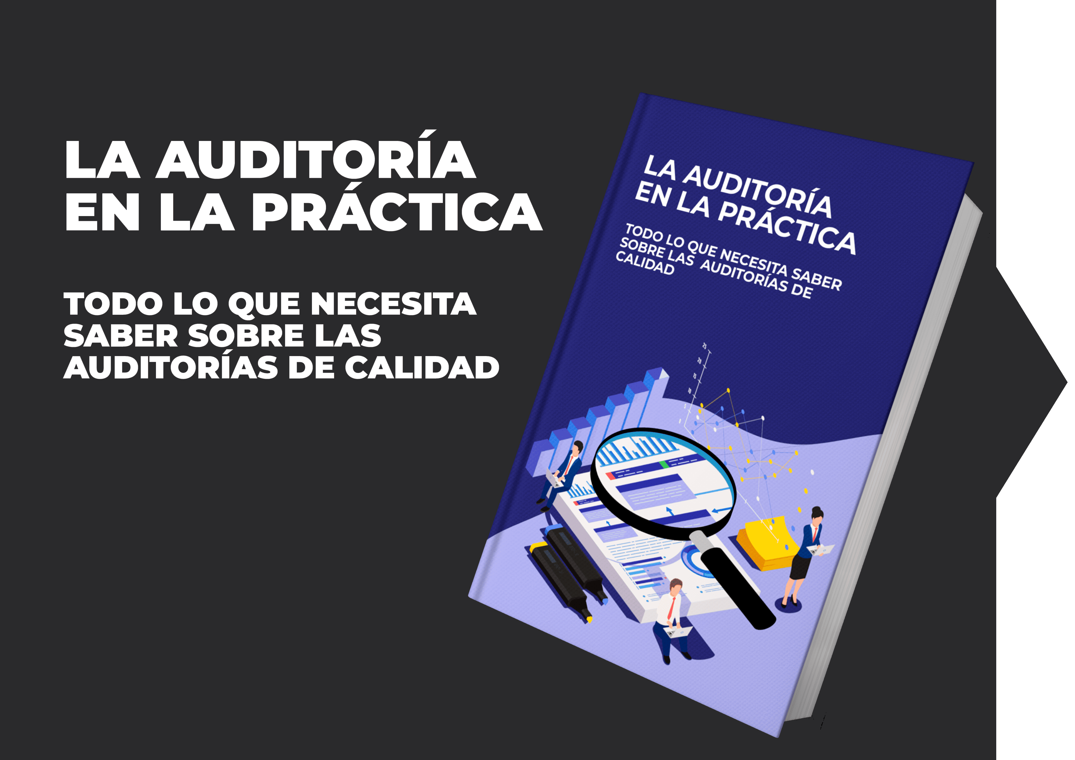 Ebook - La auditoría en la práctica - SIGSE - Softwares para Negócios